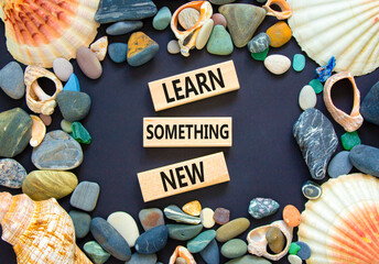 Learn something new symbol. Concept words Learn something new on beautiful block. Sea stones...
