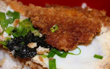 katsudon with a golden fried pork cutlet, egg, and green onions over a bed of steamed rice. atsudon with selective focus. Katsudon, a meal made with pork, egg, rice and green onion.