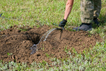A gardener pours water from a hose into a freshly dug hole on a grassy park lawn, preparing the...