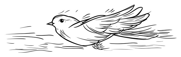 flying bird sketch hand drawn line vector illustration