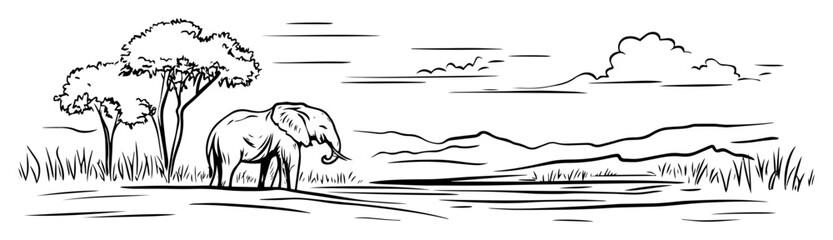 african savanna with elephant and acacia trees vector line sketch © Mago
