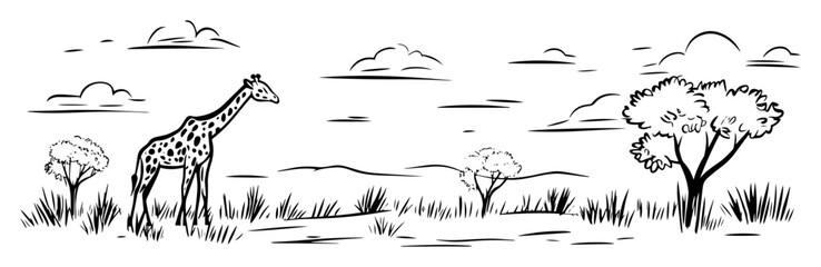 giraffe walking through african savanna vector line sketch