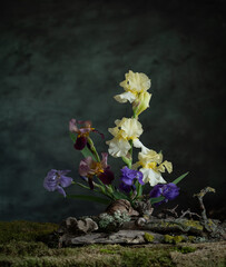 A mysterious composition in a naturalistic style with iris flowers. Branches, moss and lichen...