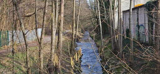 Nature and City Contrast: Stream by Old Factory