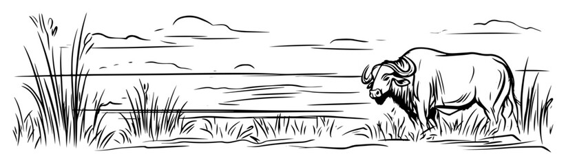 hand drawn buffalo near water with landscape – vector line art