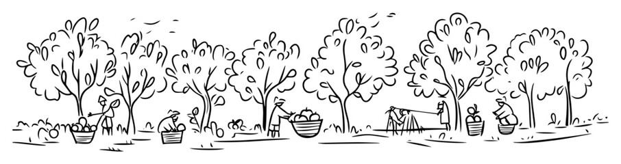 hand drawn orchard with trees and people picking fruit – vector line art