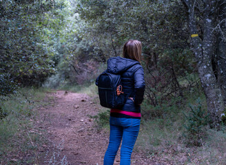 walking in the woods