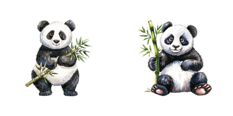 Obraz premium panda with bamboo watercolor vector illustration