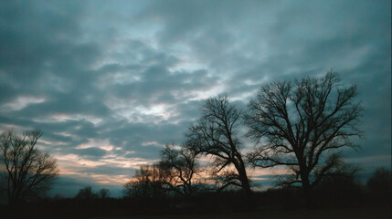 Fototapeta premium Silhouette tree sky cloud dusk landscape nature outdoor moody evening. Silhouette tree against cloudy sky dusk creating moody and tranquil