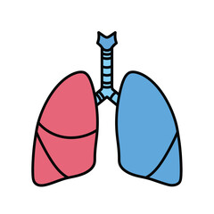 vector illustration of human organs