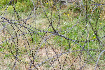Tangled Barbed Wire Over Field