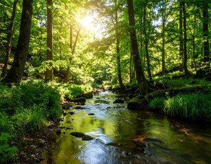 Fototapeta premium Sunlit forest stream (1)