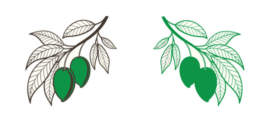 Obraz premium Mango icon vector set illustration. set vector illustration outline mango silhouette. mango with leaf.