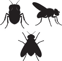 Fly silhouette of icons set side, front, and top views vector art illustration