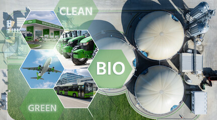 Carbon neutral biogas decarbonization concept
