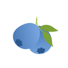 Blueberry fruit illustration. Fresh blueberry fruit flat design. Blueberry fruit illustration with green leaves 