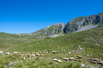 Parc national du Durmitor , Montenegro