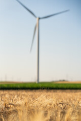 Wind turbine on an agricultural field. Sustainable energy.