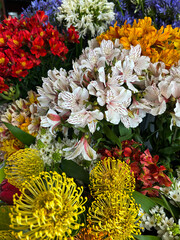 Flower shop. Close-up. Funchal. Madeira. Portugal.