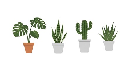 Obraz premium Indoor Plant Icons Vector – Potted Houseplants on White Background