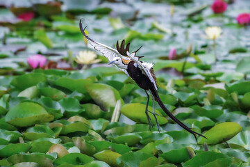 bird on a branch