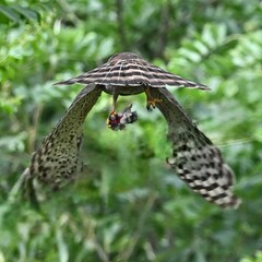 bird on a branch