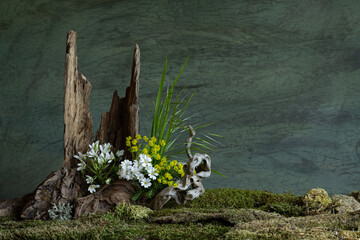 Fresh and delicate Ornithogalum blooms alongside other spring flowers in a mystical and enigmatic...