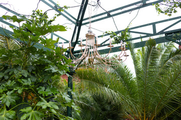 A decorative arch decorated with lush greenery and round illuminated chandeliers.