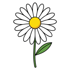 Daisy Line Art on White Background