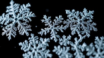 Intricate frostwork ice crystals on a black background, revealing delicate and ethereal patterns.