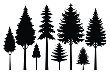 Fototapeta premium Collection of silhouettes of evergreen trees in a forest