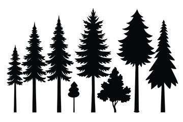 Obraz premium Silhouettes of various evergreen and deciduous trees