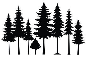 Obraz premium Silhouettes of various evergreen trees in a row