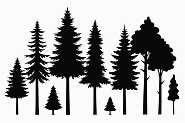 Obraz premium Silhouettes of various evergreen and deciduous trees