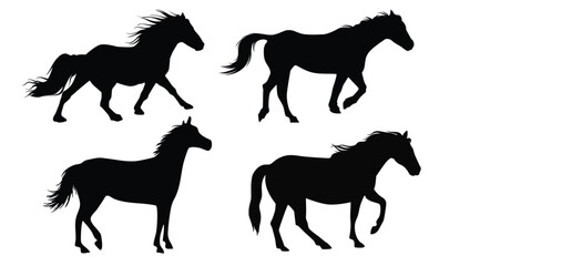 Collection of horse silhouettes set vector illustration. isolated on white background
