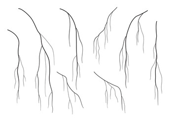 Silhouettes of Birch Branches without Leaves