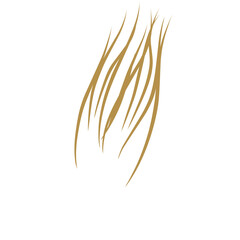  strands of light brown hair