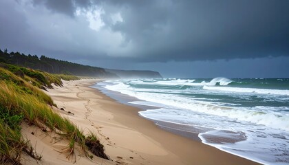 Stormy Beach Landscape With Waves