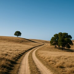 Fototapeta premium Деревенские сцены, Golden Rolling Hills with Dirt Path and Scattered Trees.