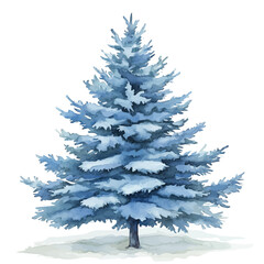 Obraz premium A Blue Spruce Tree, watercolor painting vector, isolated on a white background.