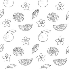 Orange seamless pattern, hand drawn, vector illustration
