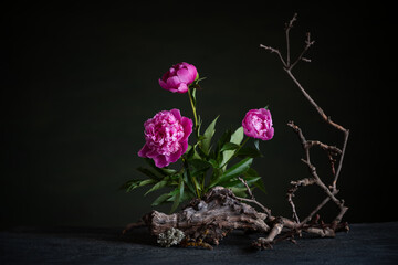 Graceful peonies, radiating elegance and tenderness, with branches and snags. A harmonious...