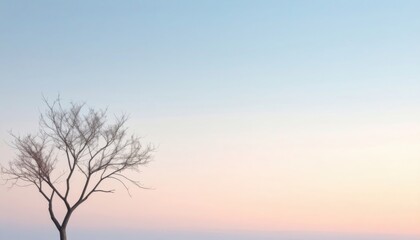 Fototapeta premium Solitary tree against a pastel sunset sky, highlighting nature's tranquility and beauty