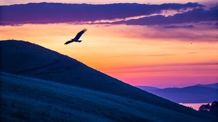 Silhouette of Bird Flying Over a Blue and Purple Hill at Sunset،sunset, sky, bird, sea, clouds, mountain, landscape, sun, fly, nature, sunrise, water, ocean, flying, birds, cloud, 