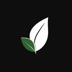 Two leaves, one larger and white, the other smaller and green, are intertwined against a black background.