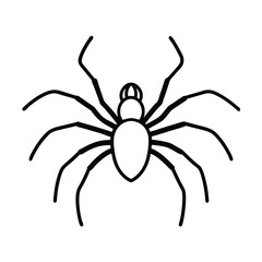 Intricate vector illustration depicting a detailed spider skillfully crawling across a surface rendered in a vibrant cmyk color palette with grayscale and black accents
