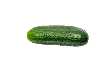 Fresh Green Cucumber on Black Background - Isolated Organic Vegetable for Healthy Eating. Transparent background.