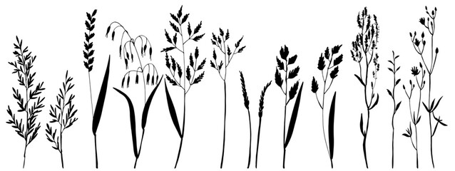 Vector silhouette of wild meadow herbs and flowers. Natural black grass border on white background. Perfect for botanical design, print, cards, posters, eco packaging, and decorative elements.