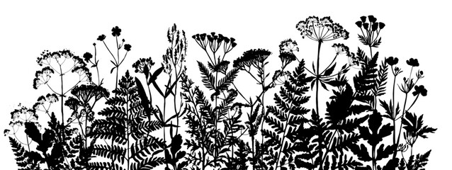 Vector silhouette of wild meadow herbs and flowers. Natural black grass border on white background. Perfect for botanical design, print, cards, posters, eco packaging, and decorative elements.