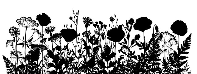 Vector silhouette of wild meadow herbs and flowers. Natural black grass border on white background. Perfect for botanical design, print, cards, posters, eco packaging, and decorative elements.